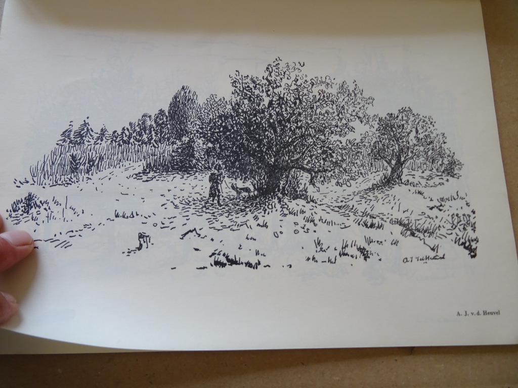 Zwart en Wit 1954 jaargang 3 No. 4 - Afbeelding 13