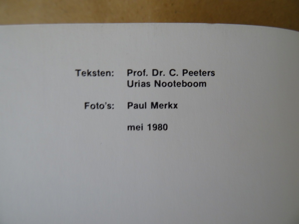 Prof. Dr. C. Peeters Urias Nooteboom De preekstoel preekt - Afbeelding 4