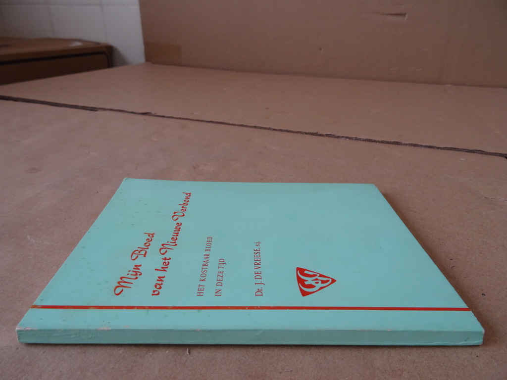 Dr. J. de Vreese s.j. Mijn Bloed van het Nieuwe Verbond GGG No 740 - Afbeelding 17