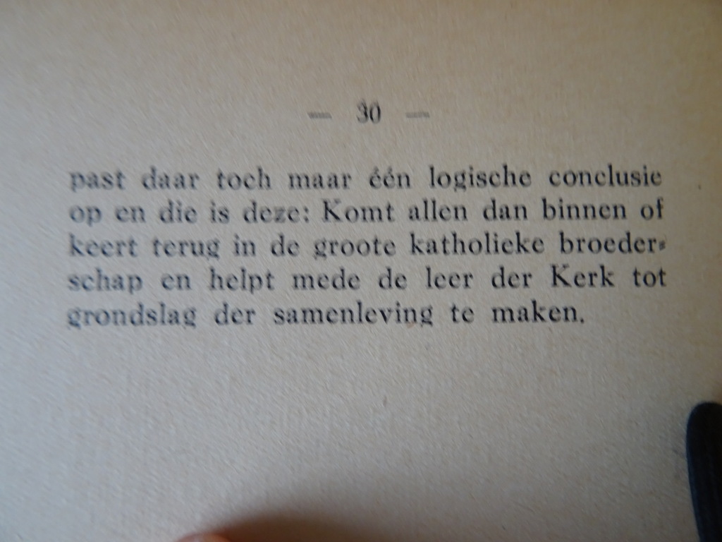 Fr. G. Vrijmoed o.f.m. Socialisme en katholicisme - Afbeelding 9