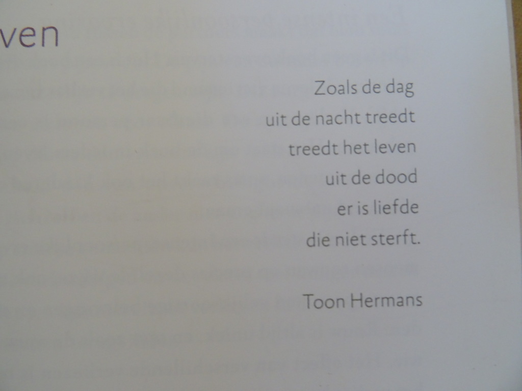 Manu Keirse Vingerafdruk van verdriet Woorden van bemoediging - Afbeelding 8