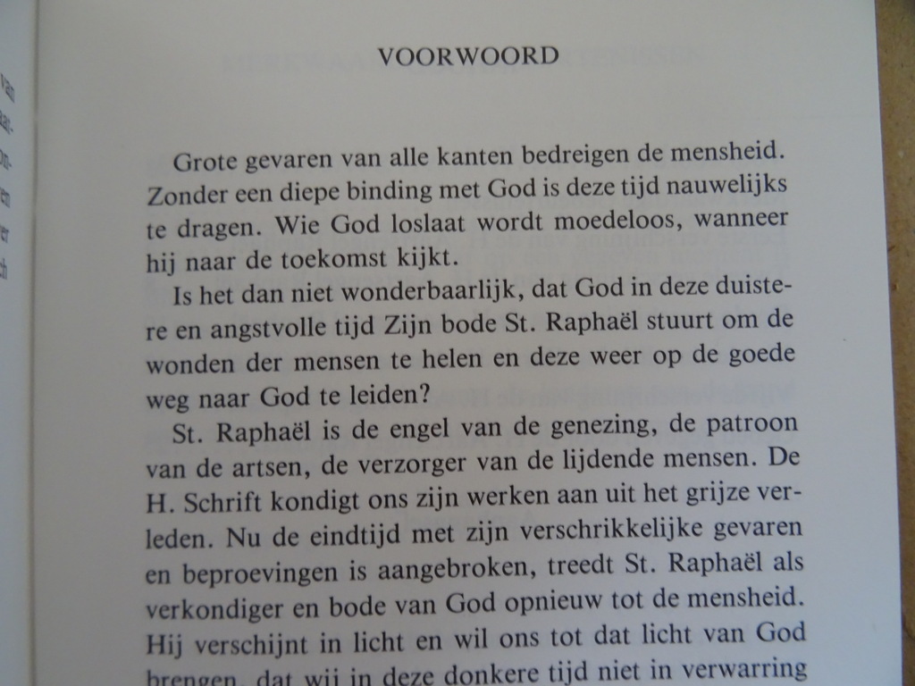 Boodschappen voor de eindtijd Augustus 1984 - September 1985 - Afbeelding 9