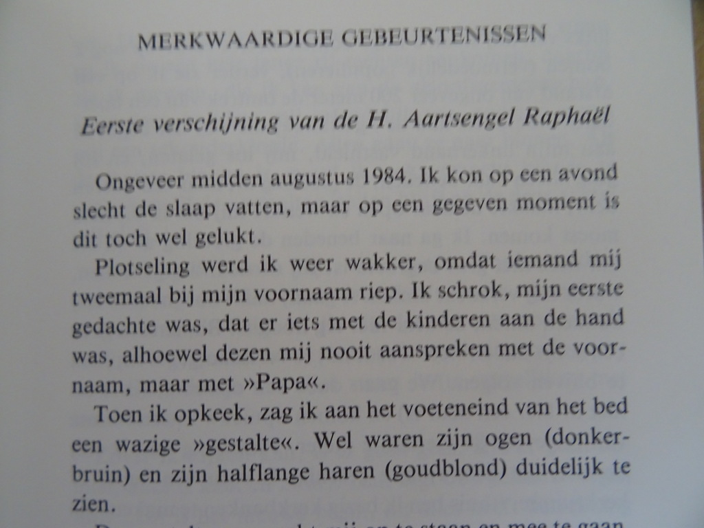 Boodschappen voor de eindtijd Augustus 1984 - September 1985 - Afbeelding 12