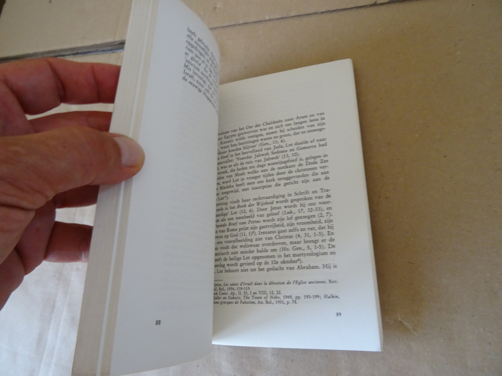 Jean Daniélou Heidense heiligen uit het Oude Testament - Afbeelding 10