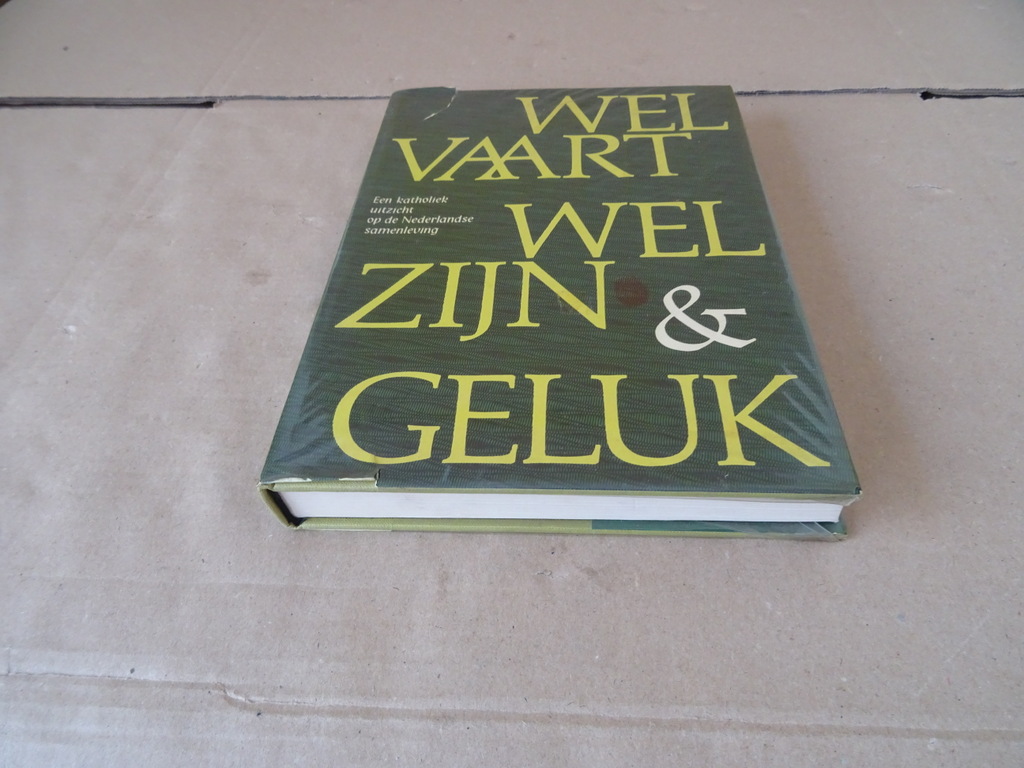 Welvaart Welzijn & Geluk Een katholiek overzicht - Afbeelding 2