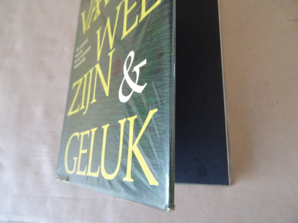 Welvaart Welzijn & Geluk Een katholiek overzicht - Afbeelding 3
