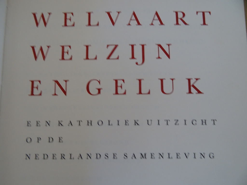 Welvaart Welzijn & Geluk Een katholiek overzicht - Afbeelding 6