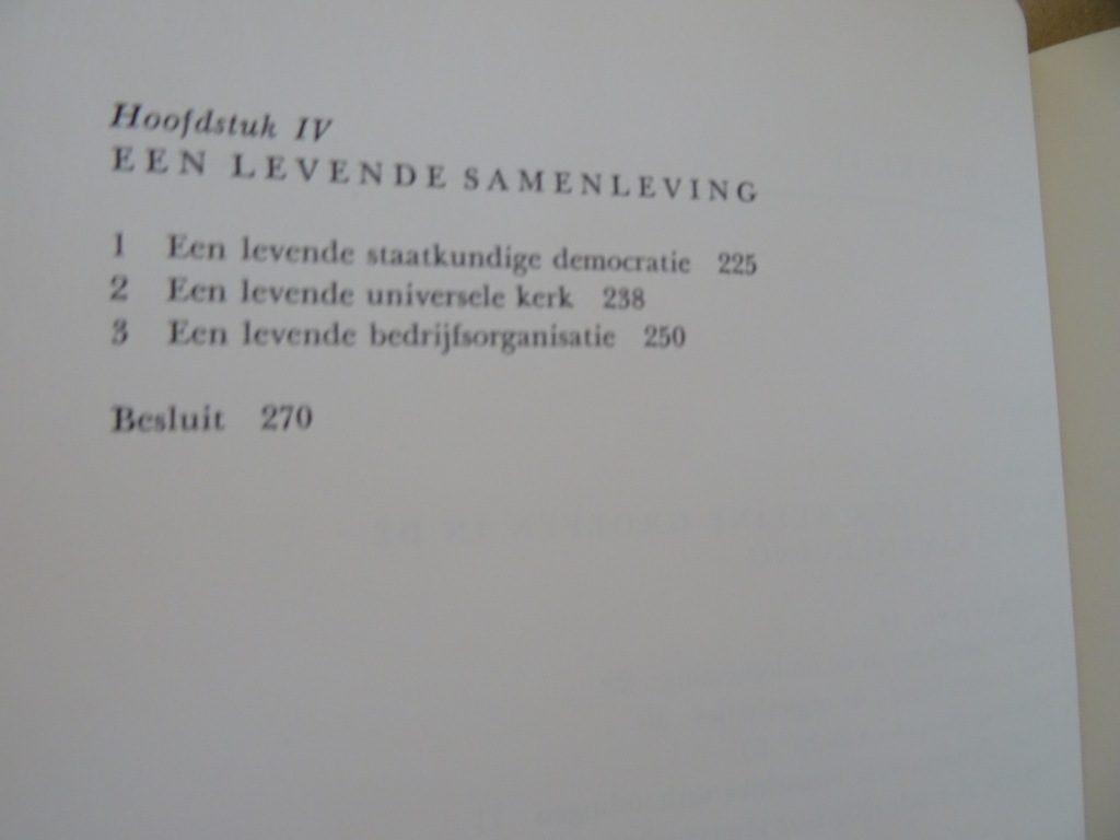 Welvaart Welzijn & Geluk Een katholiek overzicht - Afbeelding 13