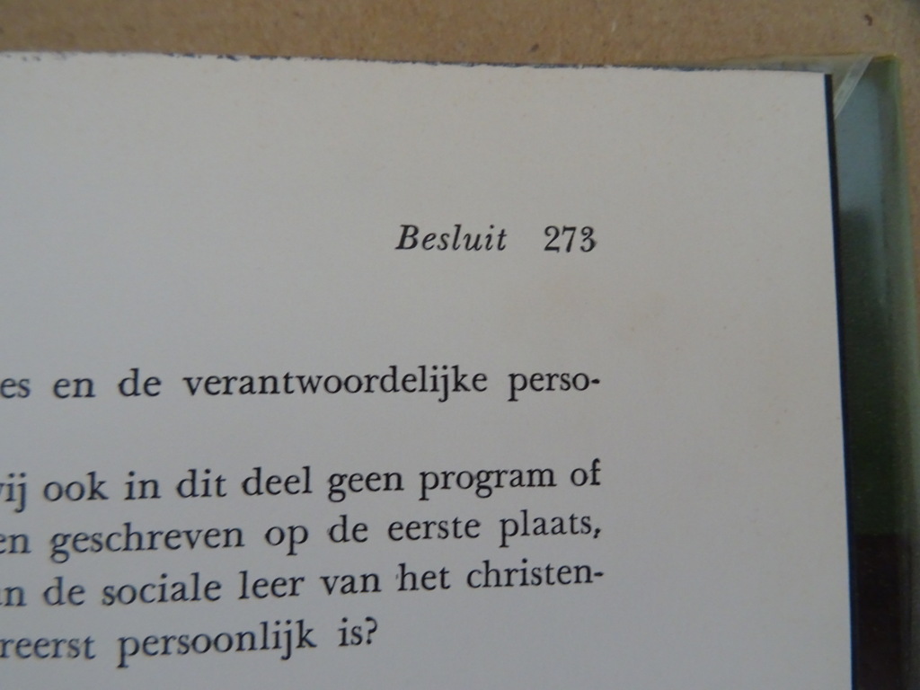 Welvaart Welzijn & Geluk Een katholiek overzicht - Afbeelding 18