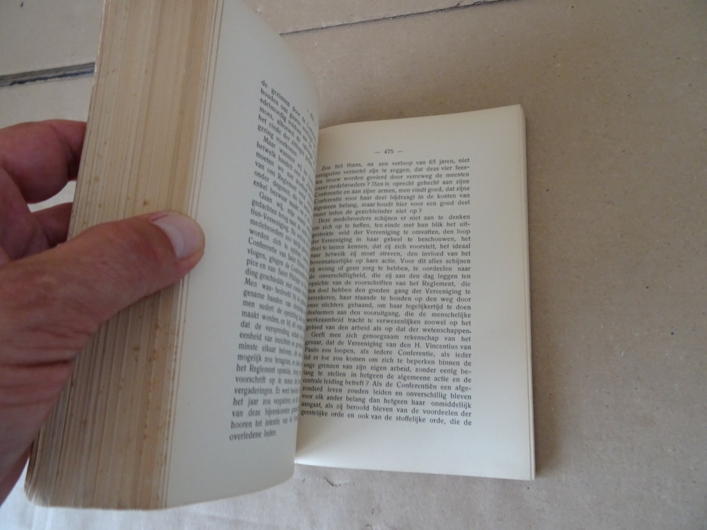 Handboek der Vereeniging van den Heiligen Vincentius van Paulo - Afbeelding 11