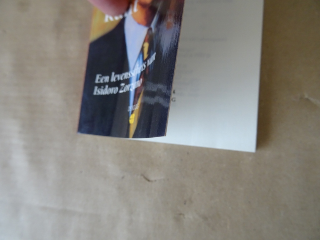 Stefan Puhl Laten zien wat je kunt - Afbeelding 3
