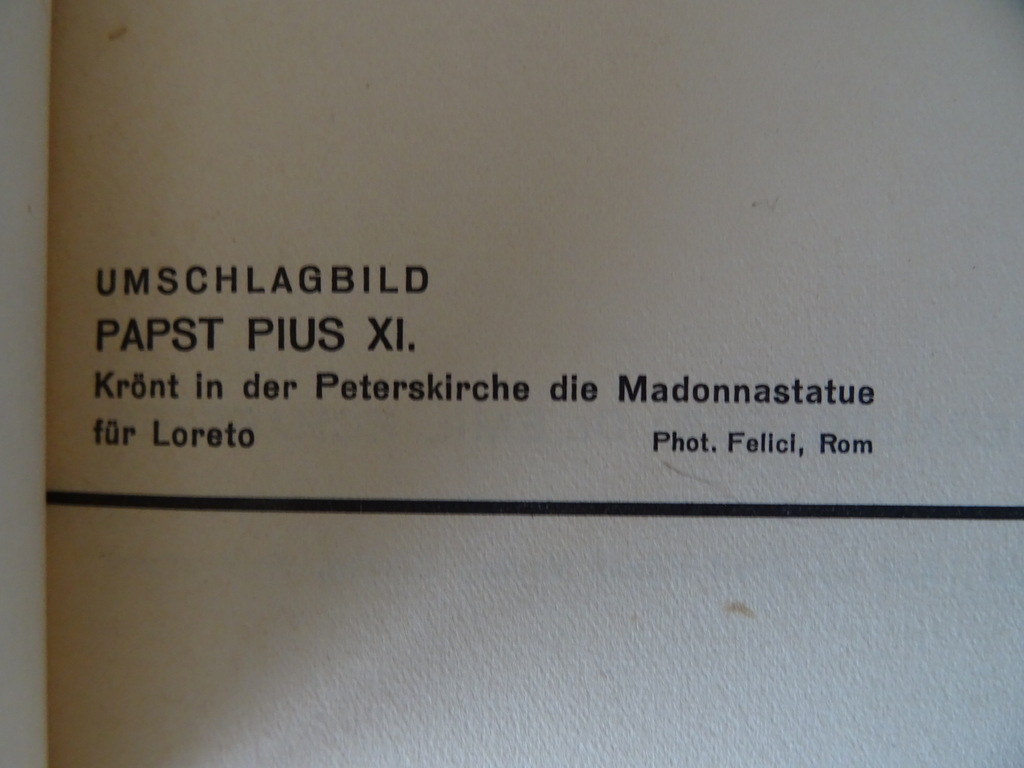 Dr. P. M. Krieg Das tagewerk eines papstes - Afbeelding 6