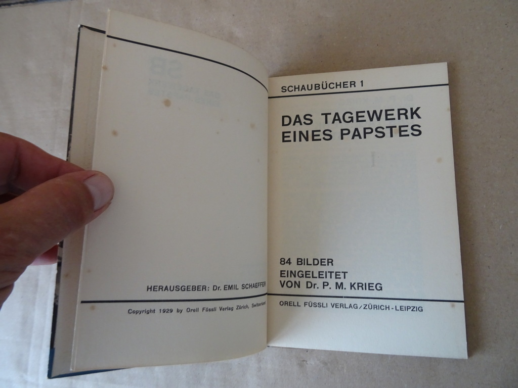 Dr. P. M. Krieg Das tagewerk eines papstes - Afbeelding 7