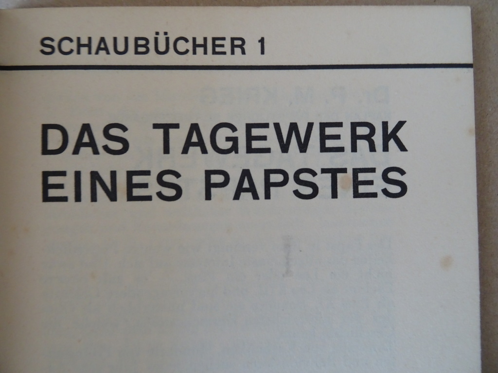 Dr. P. M. Krieg Das tagewerk eines papstes - Afbeelding 8