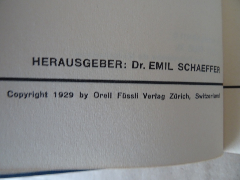 Dr. P. M. Krieg Das tagewerk eines papstes - Afbeelding 10