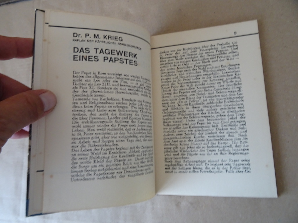 Dr. P. M. Krieg Das tagewerk eines papstes - Afbeelding 11