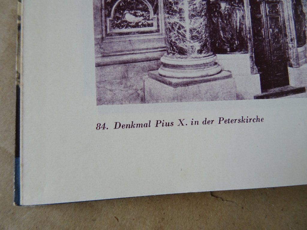 Dr. P. M. Krieg Das tagewerk eines papstes - Afbeelding 20