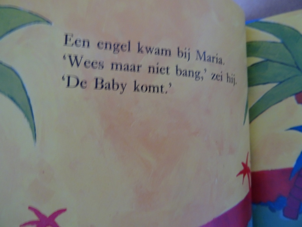 Jane Chapman Maria's Baby - Afbeelding 9