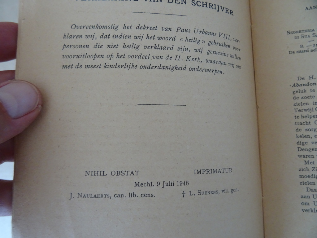 Dom. Vital. Lehodey De Heilige Overgave - Afbeelding 8