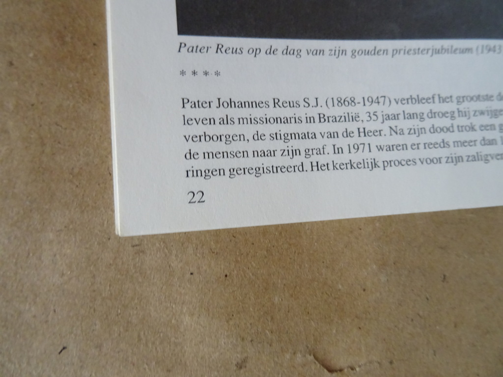 De Heilige Mis een zee van Genade - Afbeelding 7