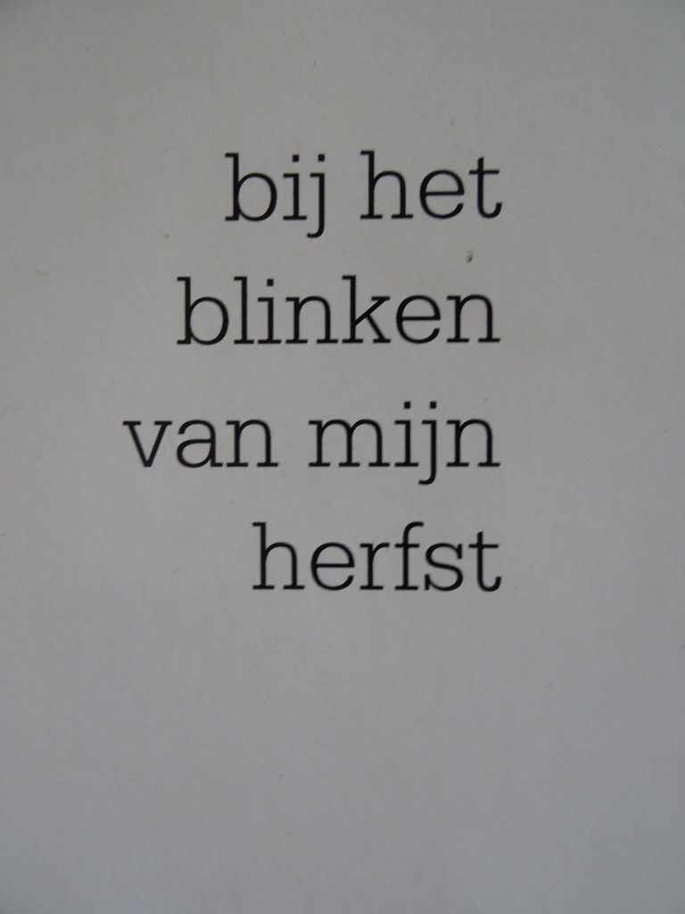 Bert Boone Bij het blinken van mijn herfst Gedichten - Afbeelding 2