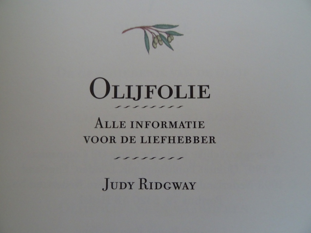 Judy Ridgway Olijfolie - Afbeelding 4