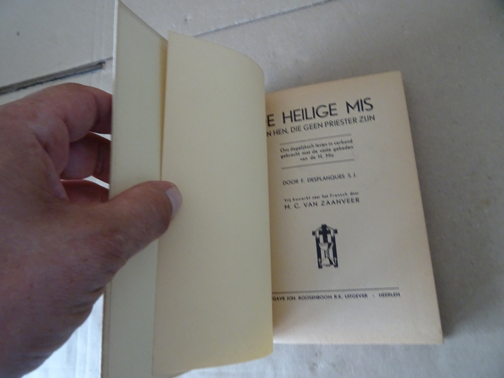 F. Desplanques S.J. De Heilige Mis van hen die geen priester zijn - Afbeelding 4