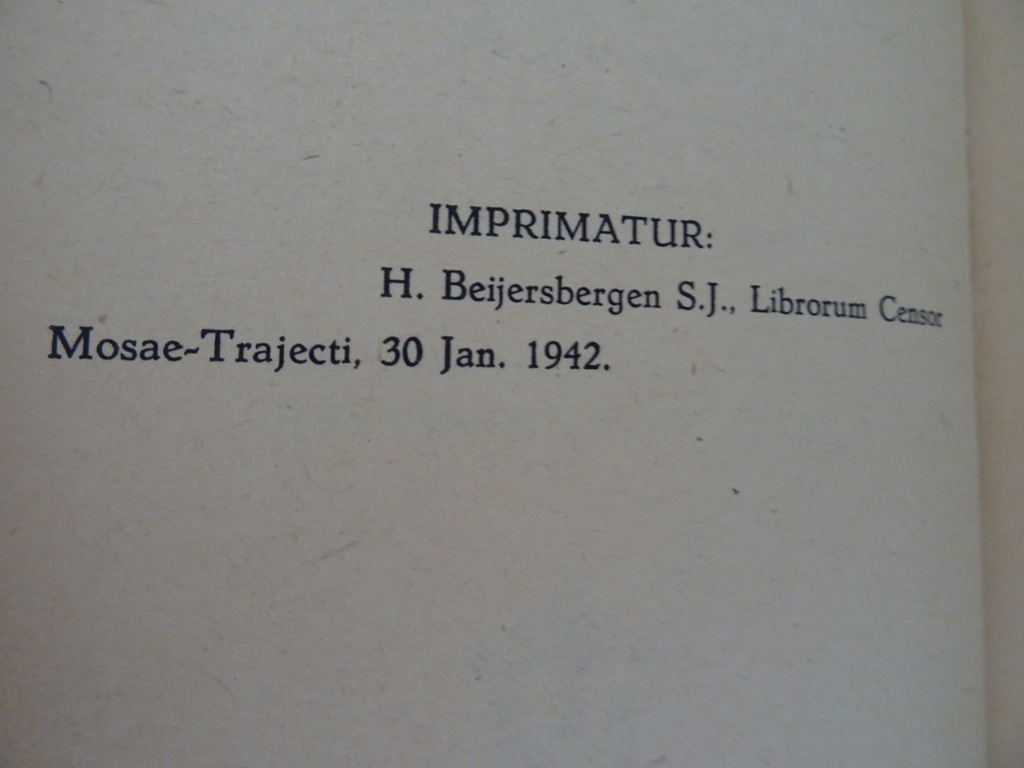 F. Desplanques S.J. De Heilige Mis van hen die geen priester zijn - Afbeelding 7