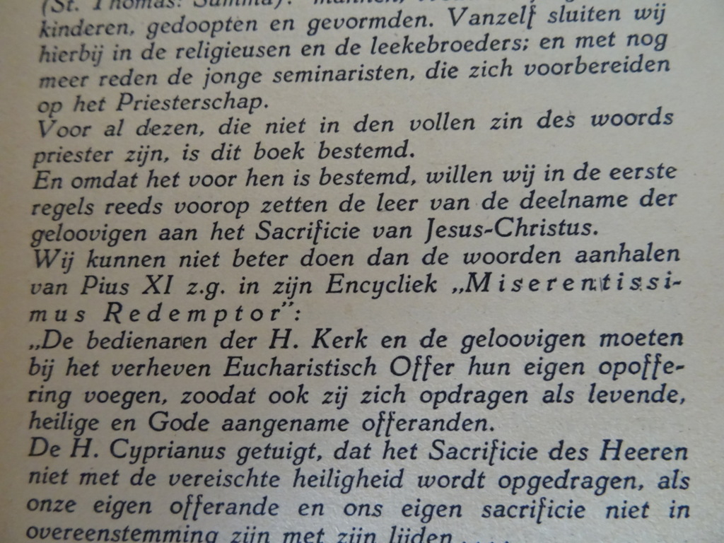 F. Desplanques S.J. De Heilige Mis van hen die geen priester zijn - Afbeelding 9