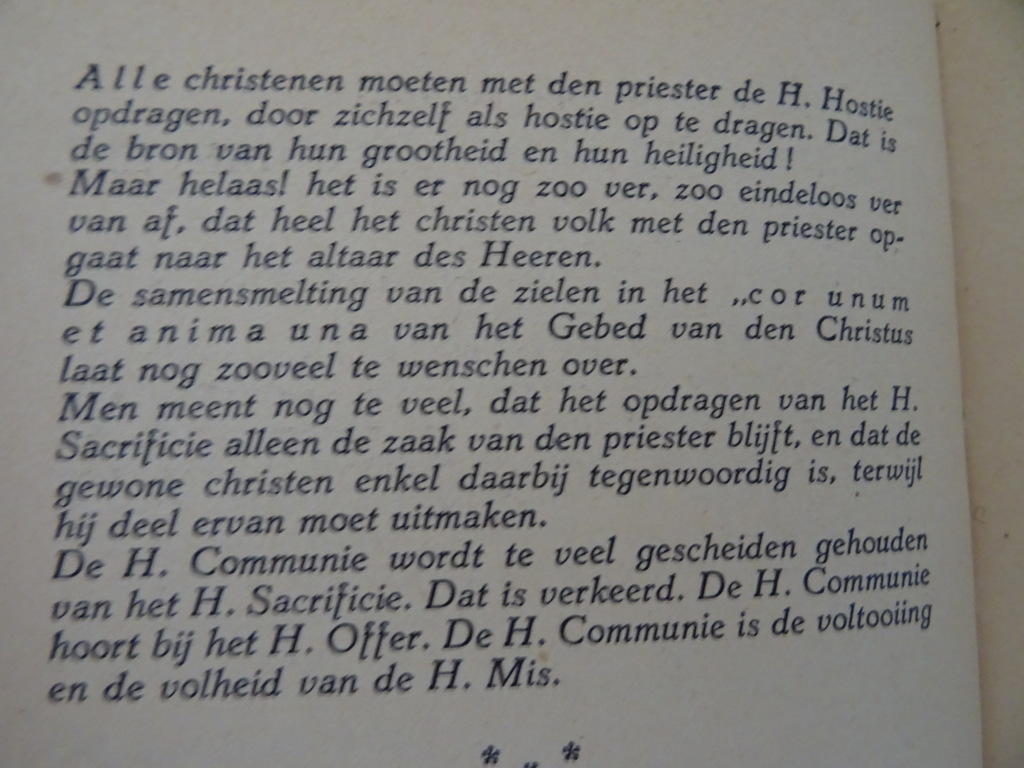 F. Desplanques S.J. De Heilige Mis van hen die geen priester zijn - Afbeelding 11