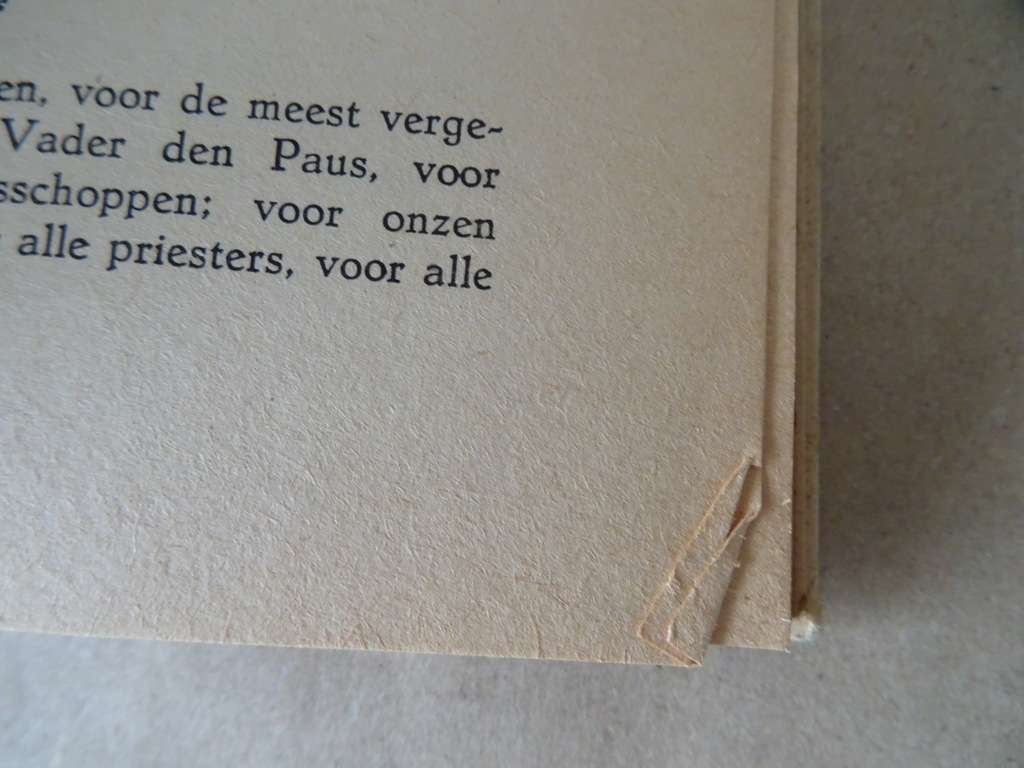 F. Desplanques S.J. De Heilige Mis van hen die geen priester zijn - Afbeelding 14