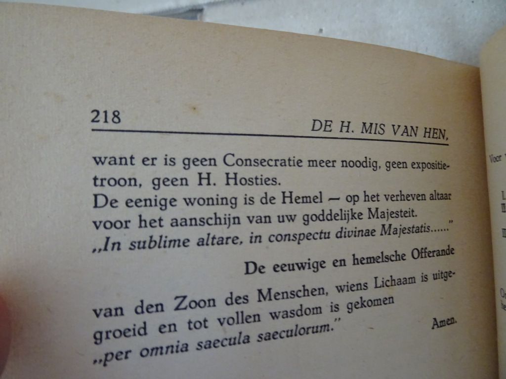 F. Desplanques S.J. De Heilige Mis van hen die geen priester zijn - Afbeelding 15