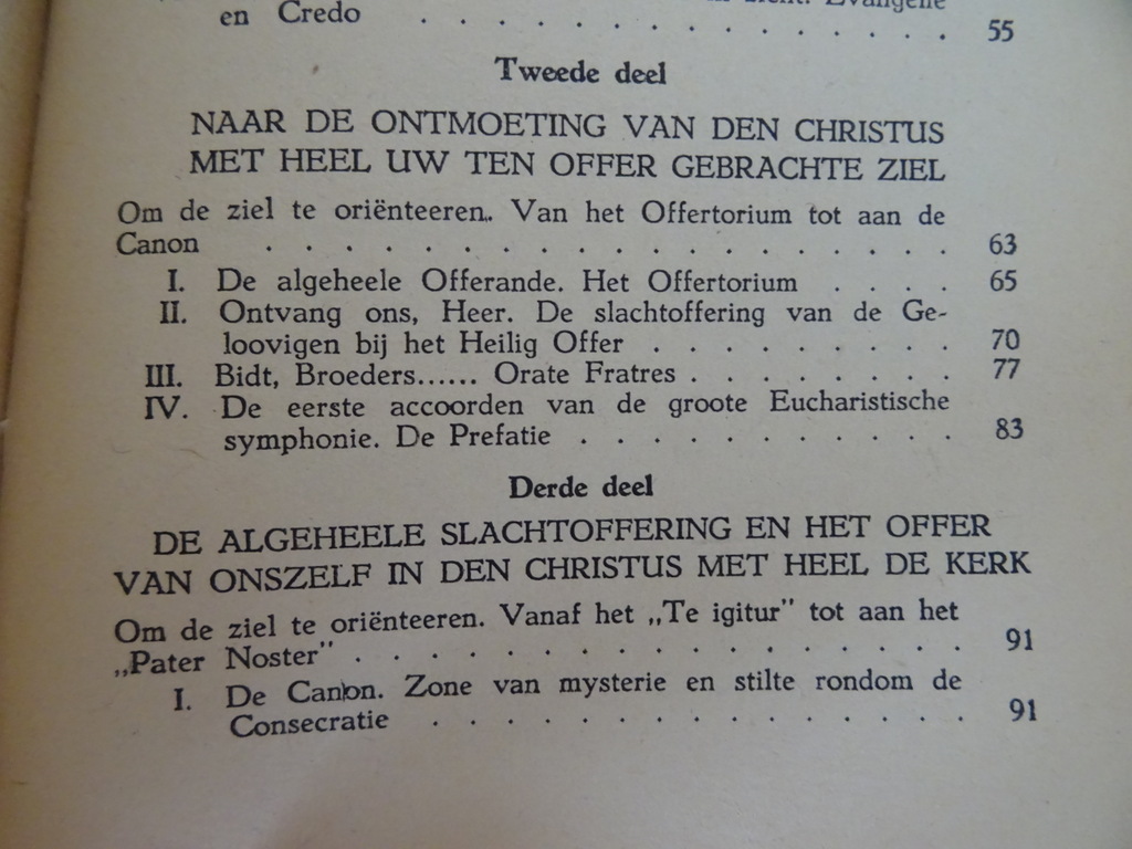 F. Desplanques S.J. De Heilige Mis van hen die geen priester zijn - Afbeelding 17