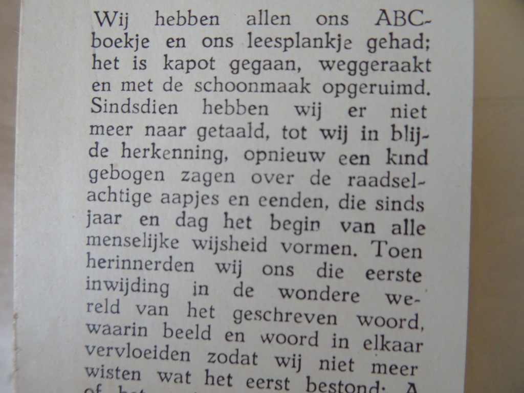 E. Tierie-Hogerzeil Hoe men het ABC begeerde en leerde - Afbeelding 5