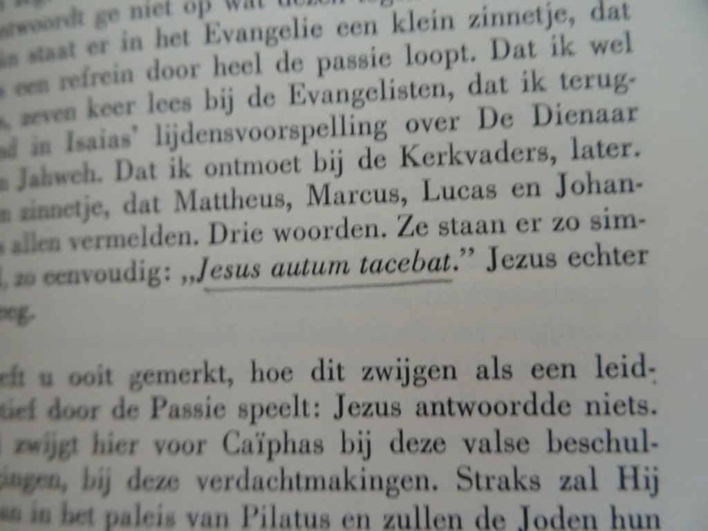 Jac. de Rooy s.j. Lijdensmeditaties - Afbeelding 11