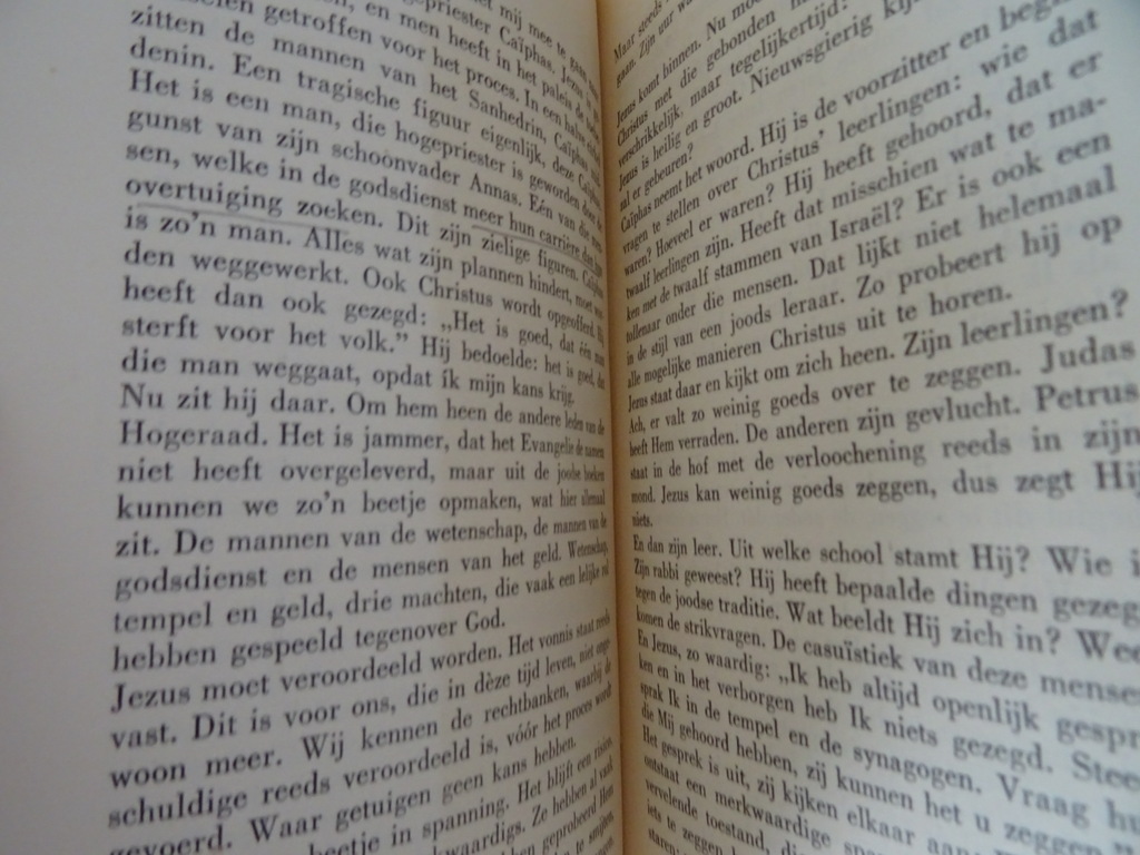 Jac. de Rooy s.j. Lijdensmeditaties - Afbeelding 12