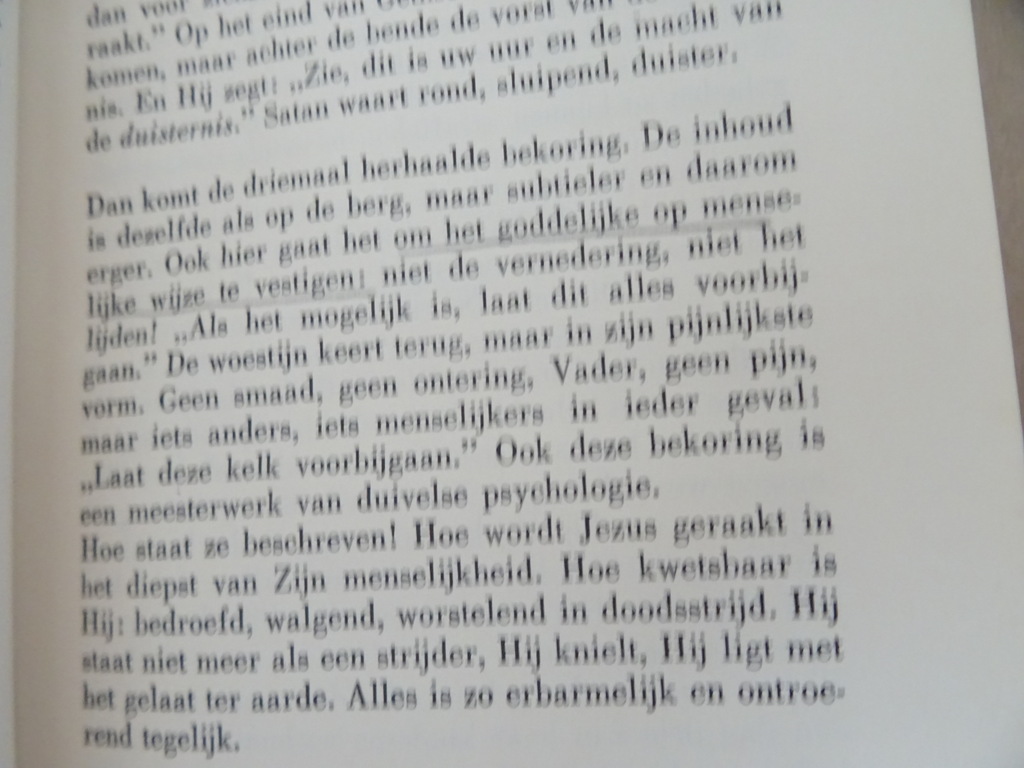 Jac. de Rooy s.j. Lijdensmeditaties - Afbeelding 15
