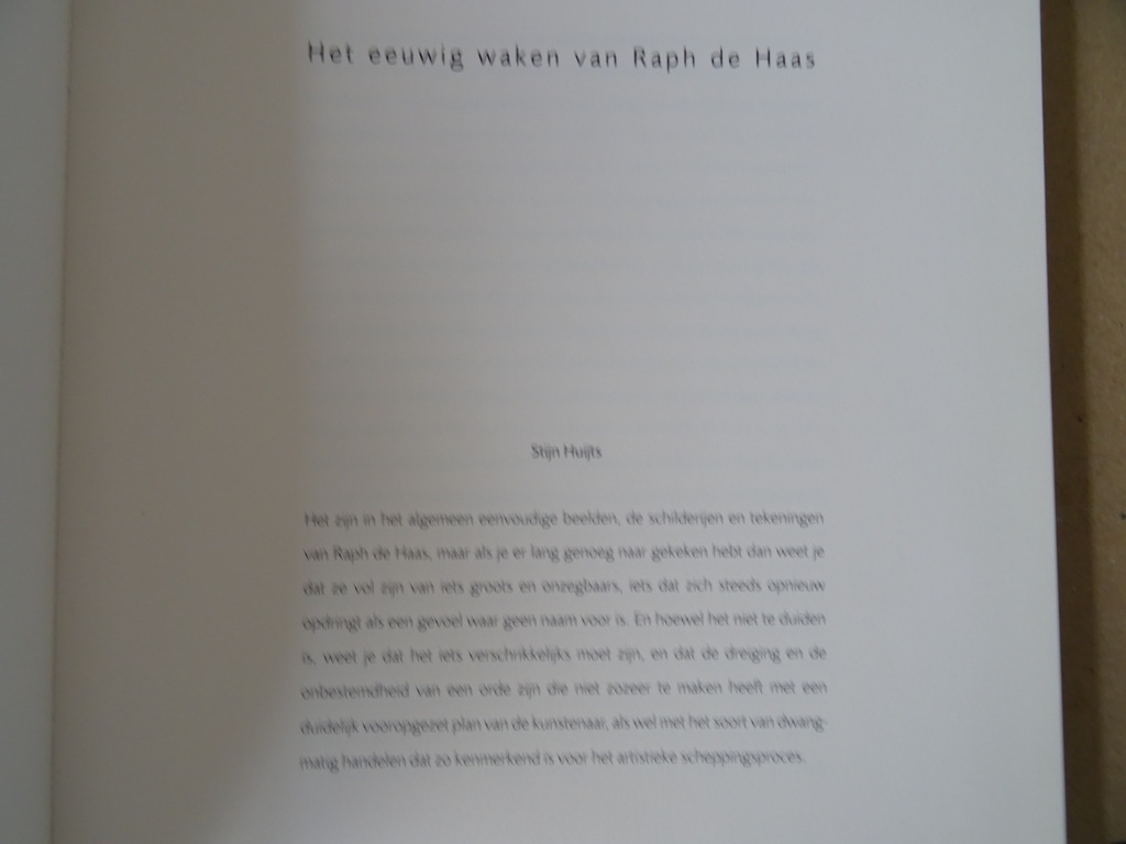 Stijn Huijts Het eeuwig waken van Raph de Haas - Afbeelding 6