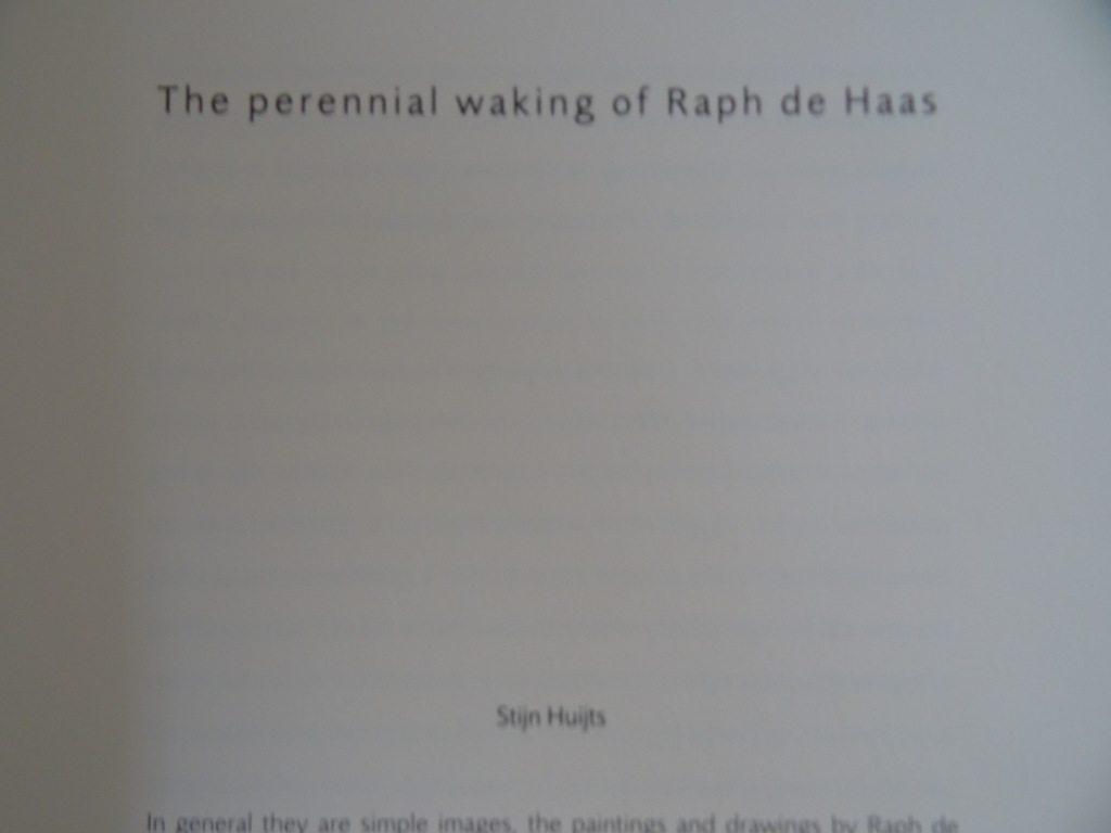 Stijn Huijts Het eeuwig waken van Raph de Haas - Afbeelding 9