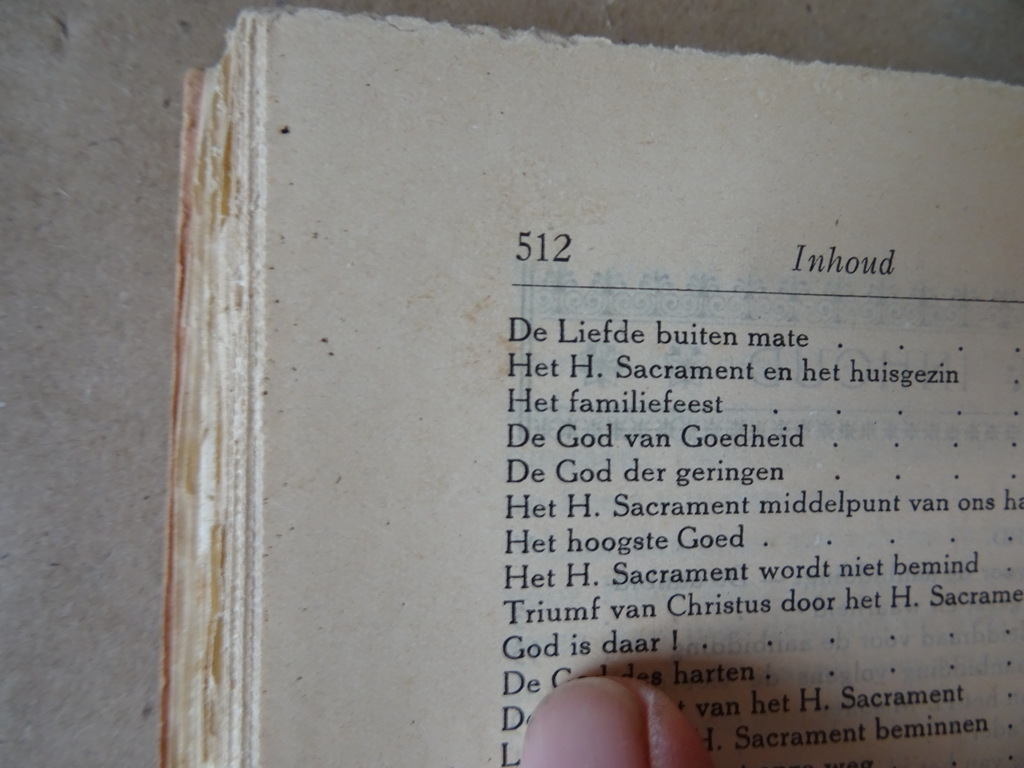 Petrus-Julianus Eymard Het Allerheiligste Sacrament - Afbeelding 13