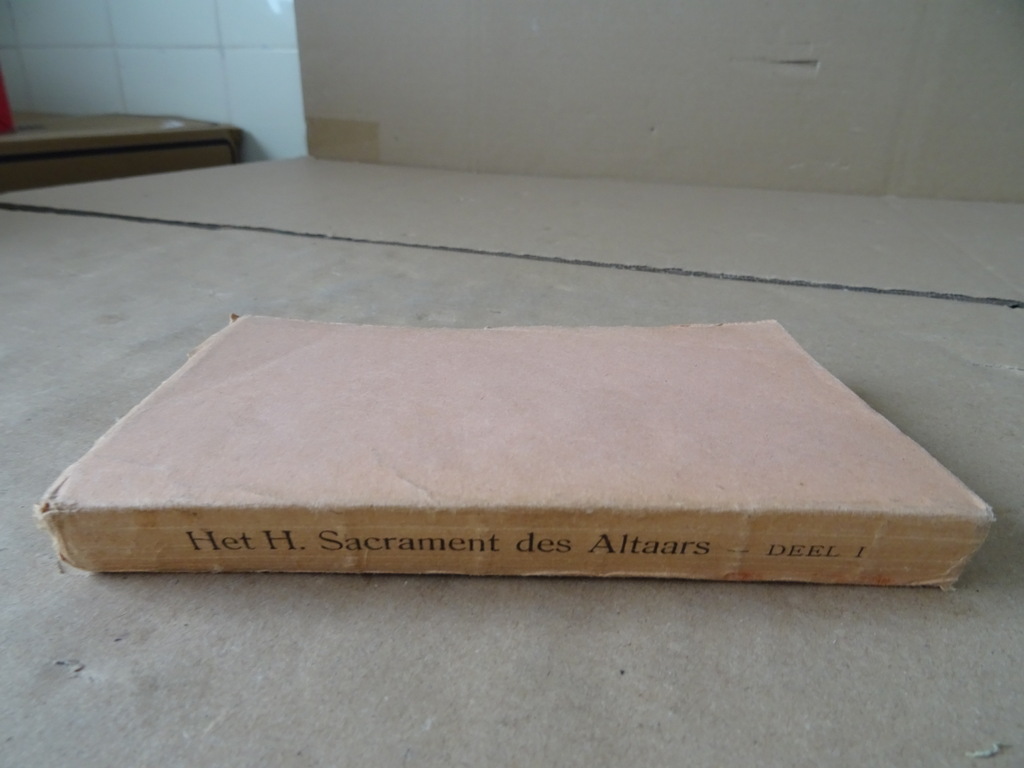 Petrus-Julianus Eymard Het Allerheiligste Sacrament - Afbeelding 16