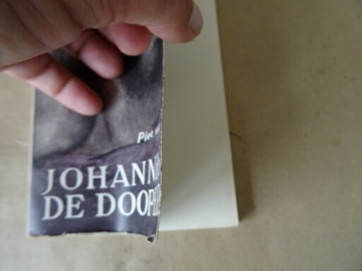 Alternative view of Piet van Veen Johannes de Dooper
