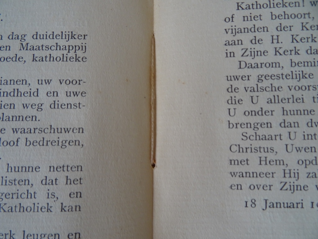 Josephus Hubertus Drehmanns De vasten-mandementen - Afbeelding 17