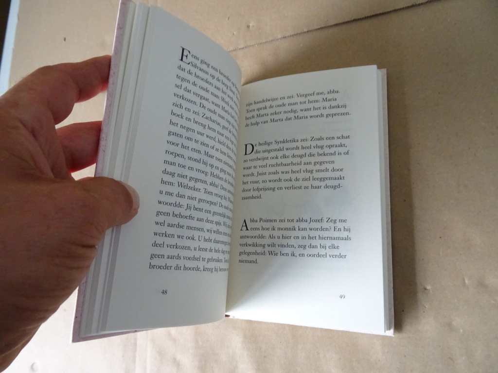 Henri Nouwen en Yushi Nomura Wijsheid uit de woestijn - Afbeelding 10
