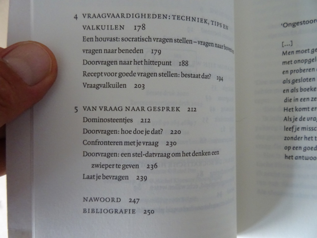 Elke Wiss Socrates op sneakers - Afbeelding 10