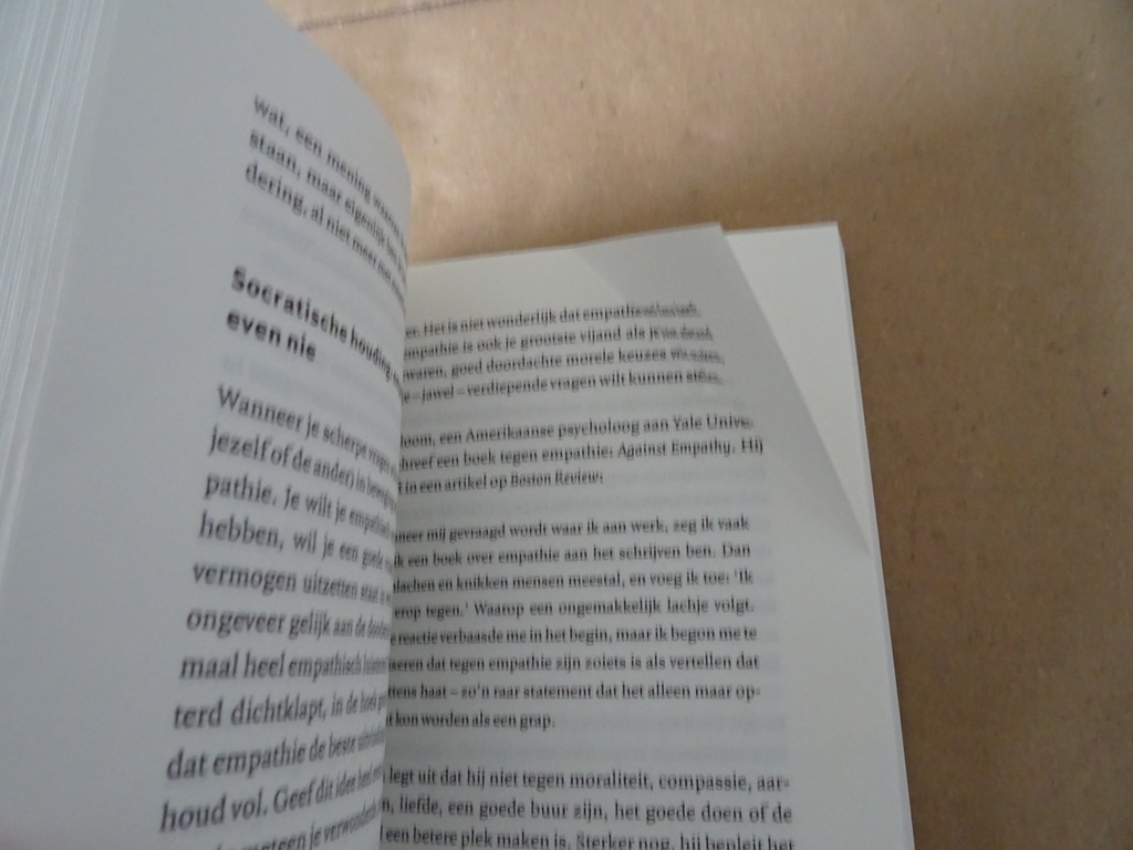 Elke Wiss Socrates op sneakers - Afbeelding 14