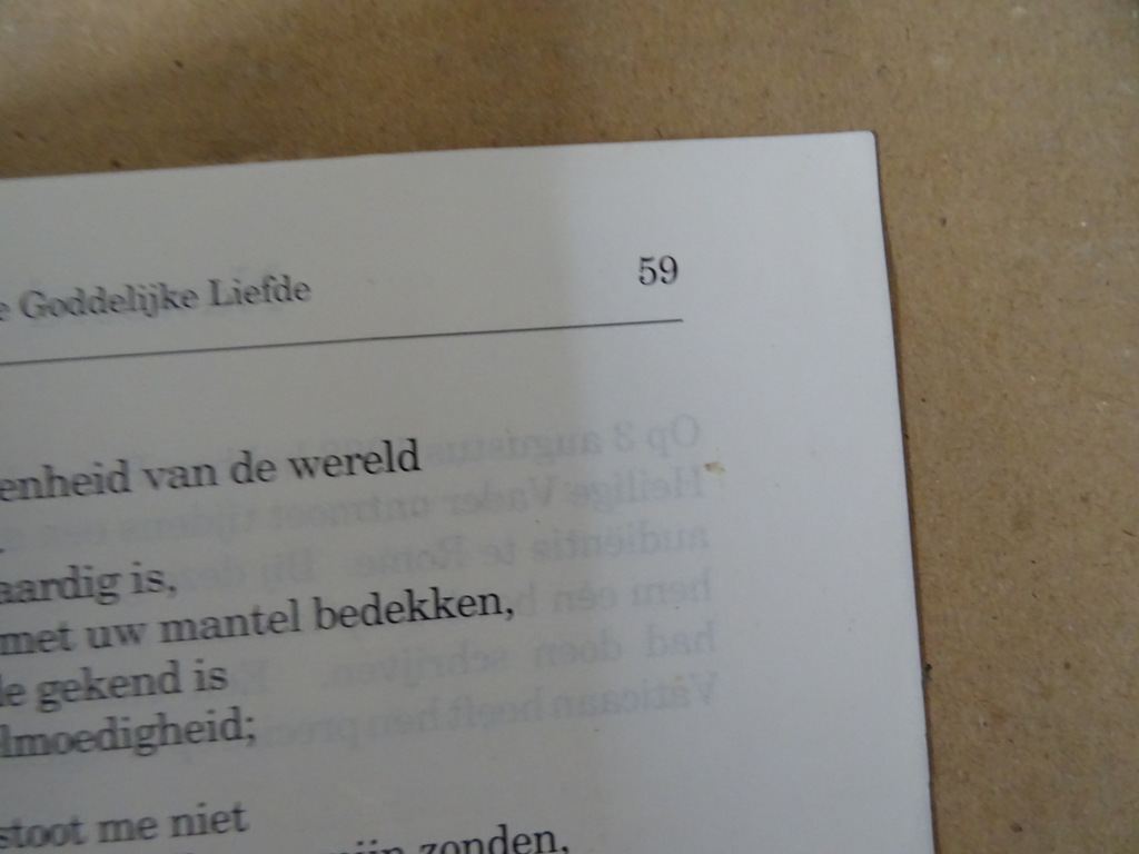 Het ware leven in God Deel 4 Vassulla: gesprekken met Jezus - Afbeelding 17