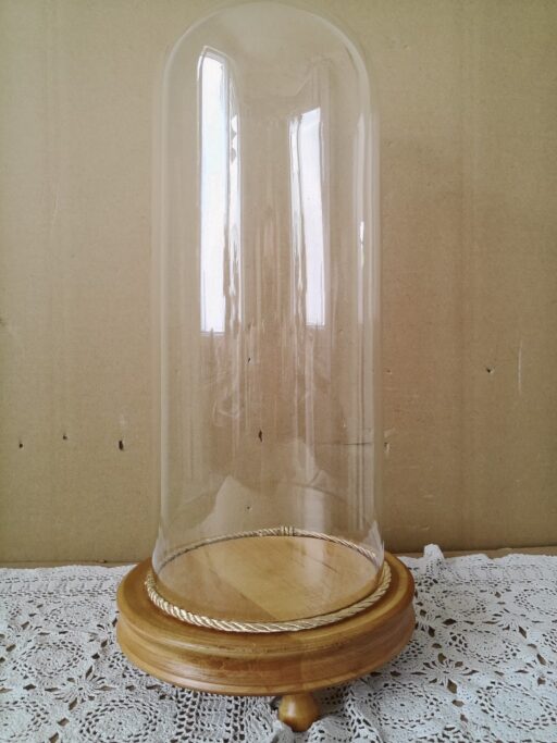 Vintage glazen stolp 41cm op citroenhouten voet