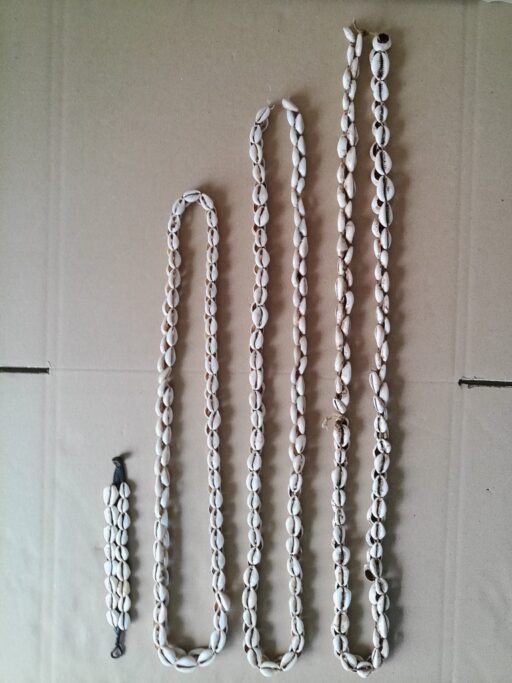 Collectie kauri schelpenkettingen en armband