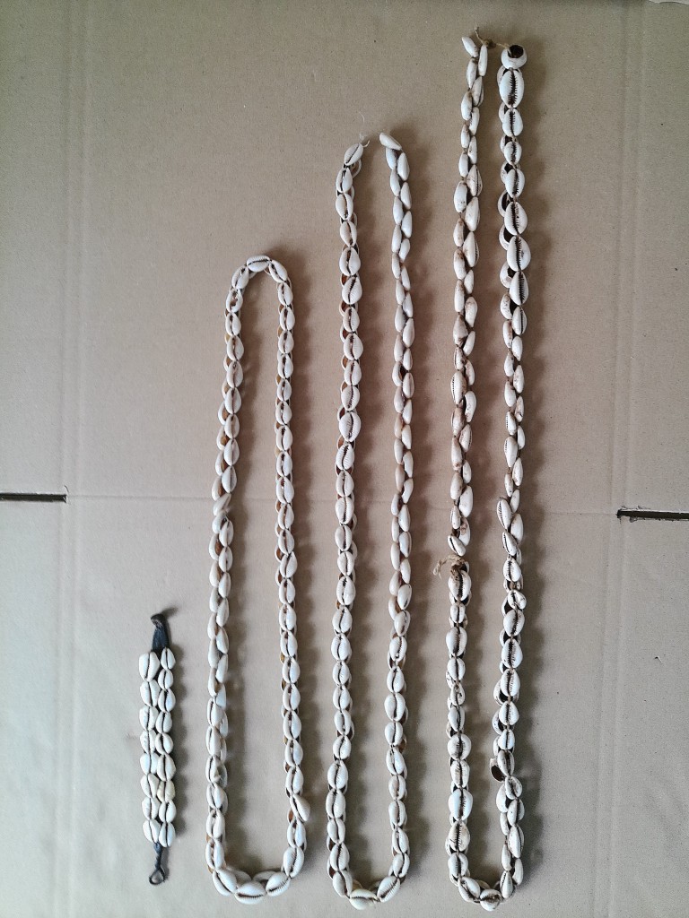 Collectie kauri schelpenkettingen en armband